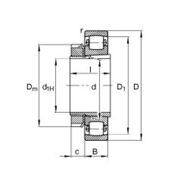 roulements 20206-K-TVP-C3 + H206 FAG