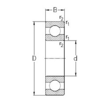 roulements 6302 NKE