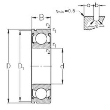 roulements 6305-2Z-N NKE