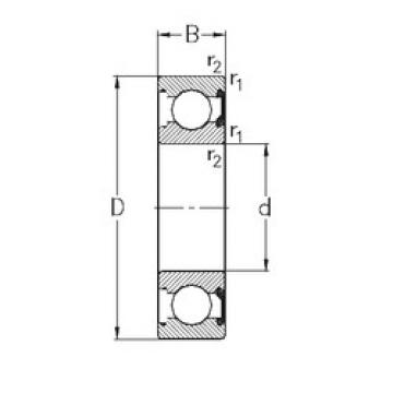 roulements 6313-2RSR NKE