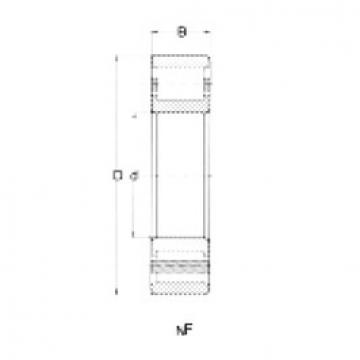 roulements NF228 CRAFT