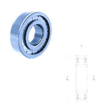 roulements NU208FMN Fersa