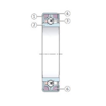 roulements F-213781.1 INA