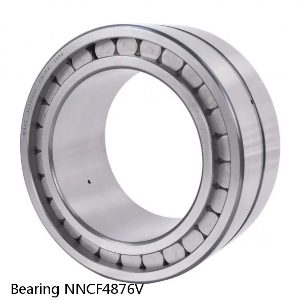 Bearing NNCF4876V