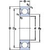 roulements 6000-2RSLTN9/HC5C3WT SKF