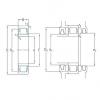 roulements NU210ECM/HC5C3 SKF