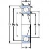 roulements 71905 ACE/HCP4A SKF #1 small image