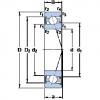 roulements S7005 ACE/HCP4A SKF #1 small image