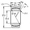 roulements GE45N AST