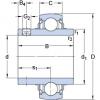 roulements YAR 204-012-2FW/VA228 SKF