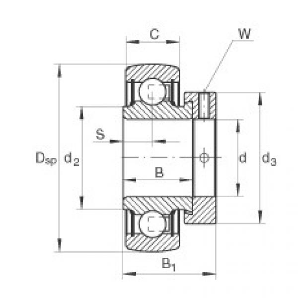 roulements RALE30-NPP-B INA #1 image