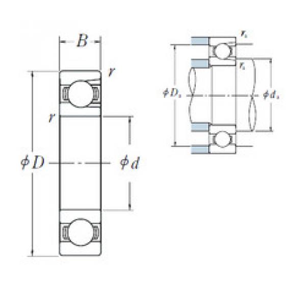 roulements BL 315 NSK #1 image