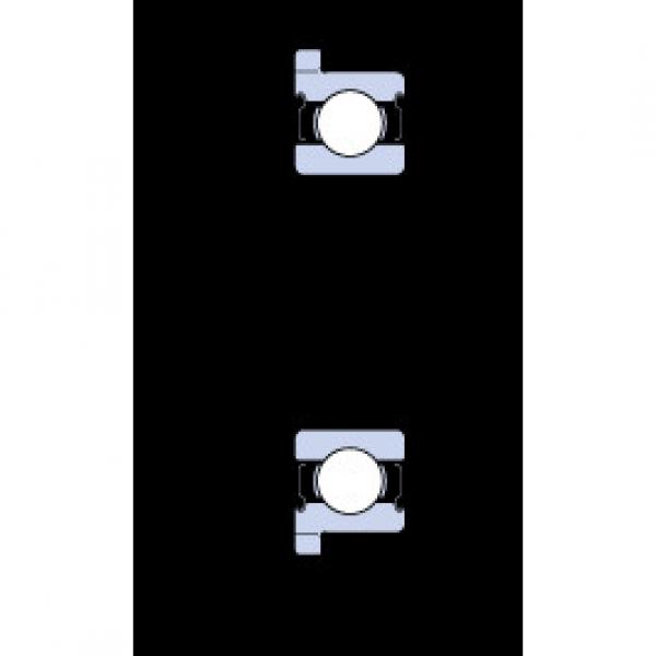 roulements D/W RW1 R-2Z SKF #1 image