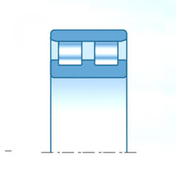 roulements RNN13602 NTN #1 image