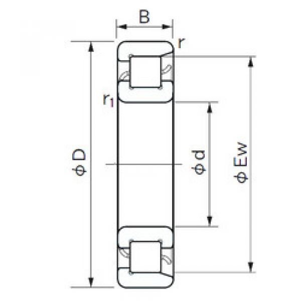 roulements NF 1068 NACHI #1 image