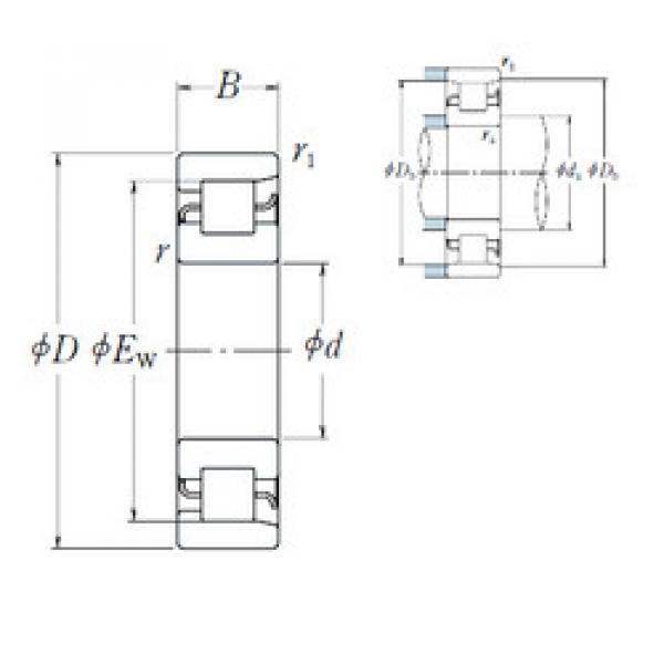 roulements NF 211 NSK #1 image