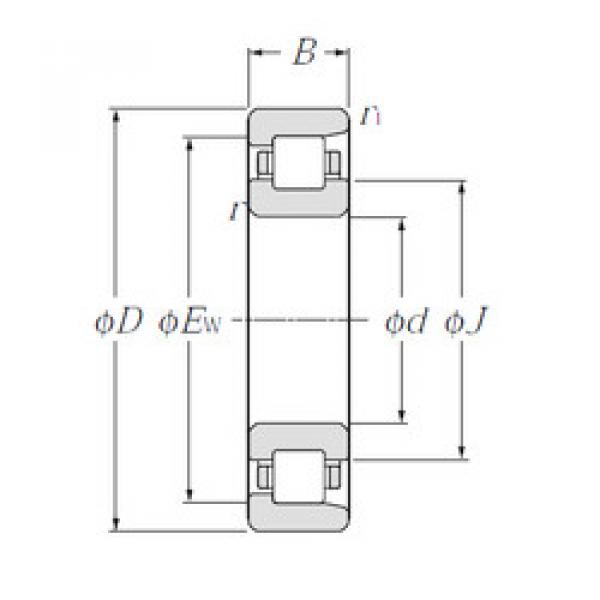 roulements NF232 NTN #1 image