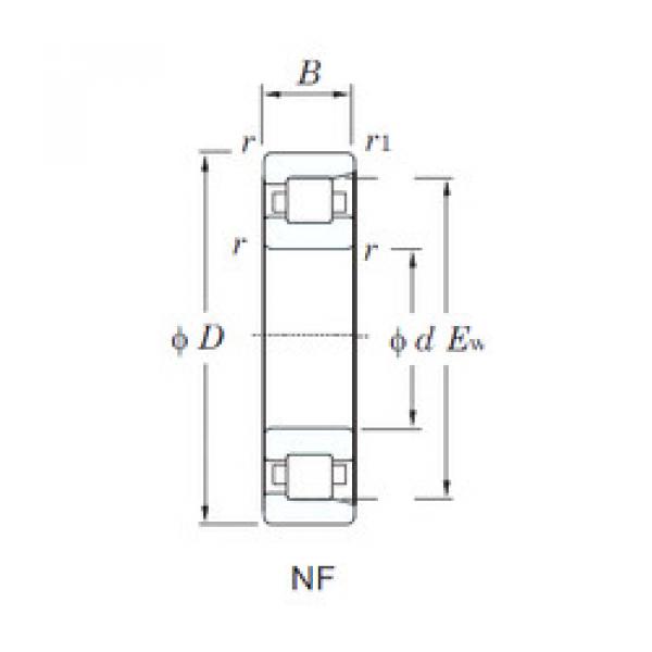 roulements NF224 KOYO #1 image