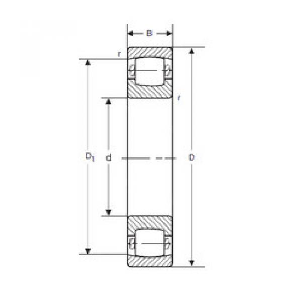 roulements 20313 K-TVP-C3 SIGMA #1 image