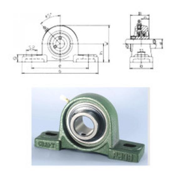 roulements UCP328 CRAFT #1 image