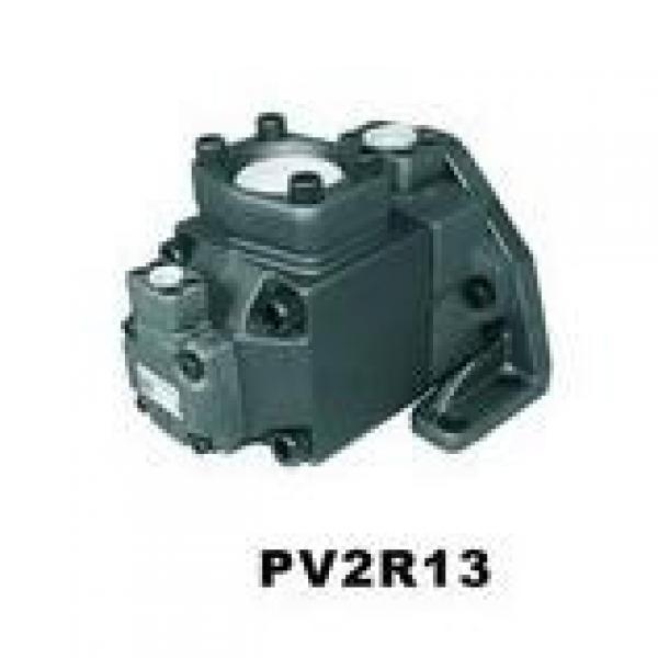 Parker Piston Pump 400481005037 PV270R1E3T1NUPR+PVAC1PUS #2 image